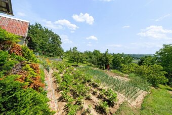 Prodej chaty 16 m2 se zahradou 392 m2, osobní vlastnictví - - 9