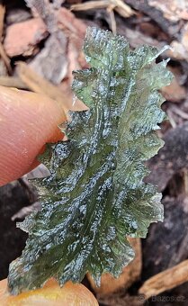 Vltavíny Besednice - 9