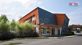 Prodej multifunkčního rodinného domu, 1076 m² - 9