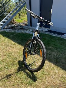 AMULET XC CORE - 17” - 9