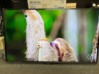 4K Televize 43" Toshiba 43UA3E63DG - 9