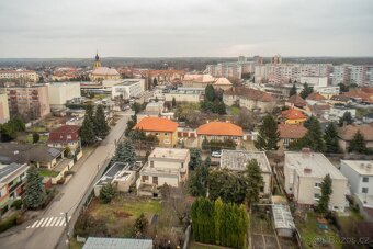 CarlZeissJena Flektogon 4/20 - 9