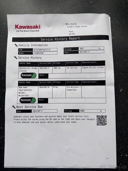 Kawasaki ZX-4RR - 9
