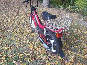 Manet korado v pěkném stavu - 9