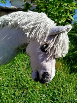 Hobby horse - 9