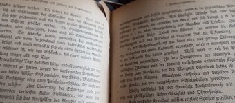 Hnihy v němčině - 9