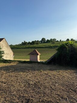 Prodám vinný sklep s pozemky 1500 m2 - 9