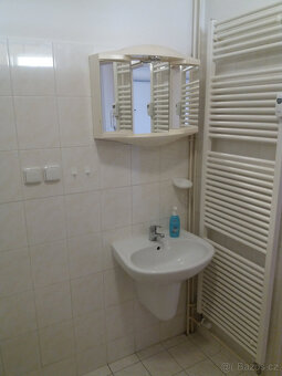 1+kk/B 33m2, Praha 9 - Letňany - 9