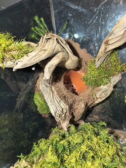 Terárium 60x45x45 - 9