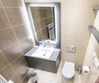 Pronájem luxusního bytu 1+kk s balkónem Praha 2 - Nové Město - 9