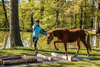 3 letá klisna pony x QH - 9