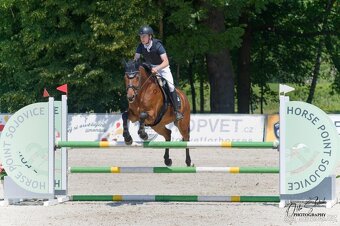 Prodáme sportovního koně do drezury, do parkuru pro dítě, ju - 9