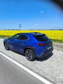 Lexus UX 250H  PRODANO - 9