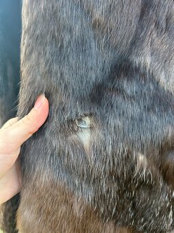 Kožich králík - 9