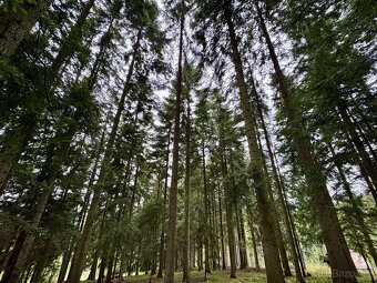 Prodej, pozemek, 56 548 m,  47, Hutisko-Solanec - Solanec po - 9