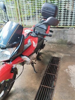 HONDA CBF 125 - 9