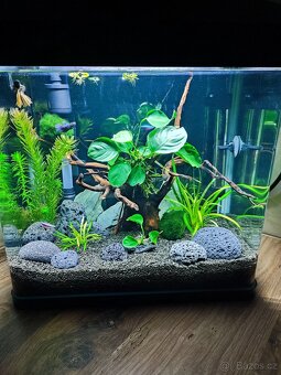 Akvárium 30l - 9