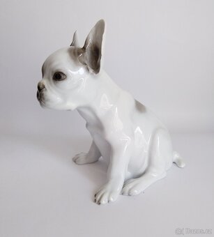 Porcelánová figura francouzského buldočka - Rosenthal - 9