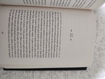 Krámek se starožitnostmi - 9