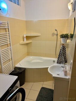 Prodej bytu 3+1 Horní Planá - 9