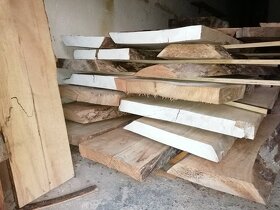 Fošny a hranolky přes 60 druhů exotiky i českých dřevin - 9