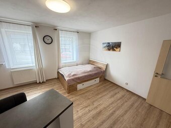 PRONÁJEM BYTU 1+KK, NÁMĚSTÍ ŠIMONA LOMNICKÉHO, ŠEVĚTÍN - 9