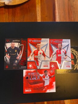 Fotbalove kartičky - 9