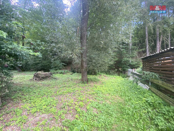 Pronájem zahrady, 546 m², Nový Jáchymov - 9