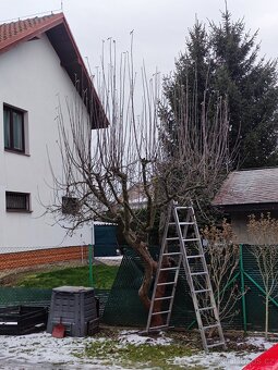 ZAHRADNÍK Brno - 9