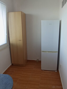 Pronájem Byt Tábor - 9