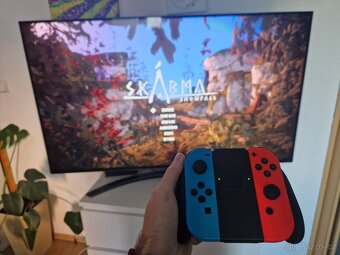 Nintendo Switch - 9