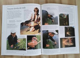 Kniha Encyklopedie rybářství, Abeceda rybaření... - 9