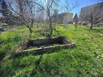 Pronájem zahrady v Pardubicích - 9