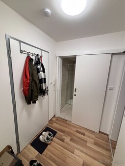 Pronájem bytu 1+kk - 9