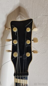 Kytara Neoton Jolana - 9