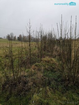 Prodej, pozemková parcela, Stanovice 9.239,5 m2 - 9