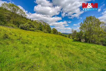 Prodej pozemku k bydlení, 10400 m², Sušice - 9