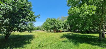 Prodej rozlehlého pozemku (10 828 m2), Praha 5 - Lahovice - 9