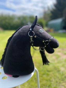 Hobby horse - 9