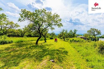 Prodej sadu, vinice 3876 m2, Židlochovice - 9