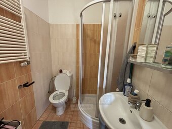 Pronájem bytu 1+kk se zahradou, Lipenská, České Budějovice - 9