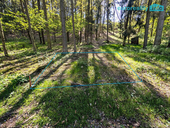 Prodej, stavební pozemek, 770 m2, Třímany u Radnice - 9