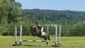 Scháním pronájem koně - 9