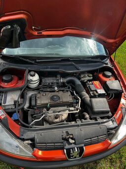 Peugeot 206 - 9