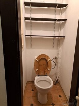 Pronájem bytu 2+kk 48 m² U staré pošty, Praha - Braník - 9