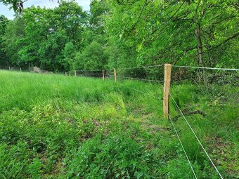 Stájník / stájnice - 9