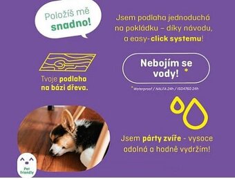 Laminátová podlaha KIWI Now - 9