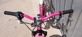 Specialized Hotrock 20" - 9