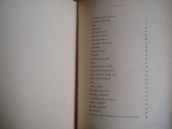 Krása nesmírná-lidové pohádky - 9