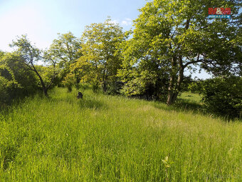 Prodej ovocného sadu, 912 m², Třebenice, ul. Třebenice - 9